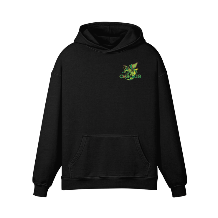 Gilgamesh hoodies Flygon Embroidered Hoodie