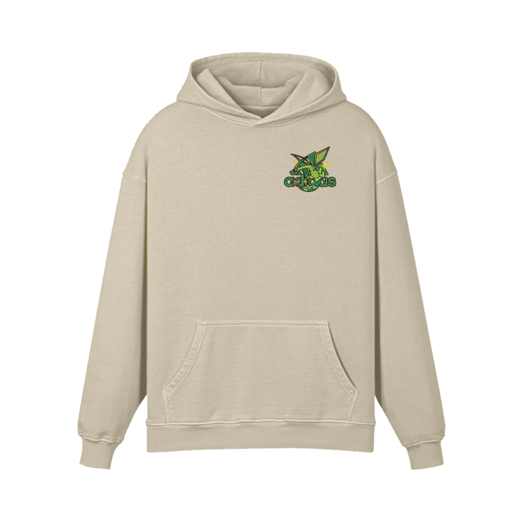 Gilgamesh hoodies Flygon Embroidered Hoodie