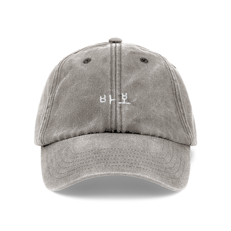 Seoulective Washed Gray Fool Dad Hat